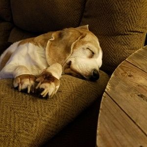 Meet your Posher, Chris